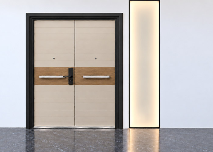 Premium Security Door
